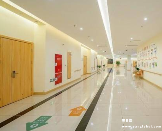 瑞小满杏花颐园 瑞小满杏花颐园