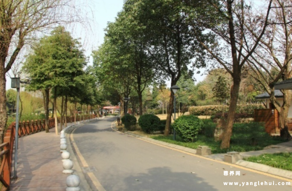 成都锦欣花乡老年公寓