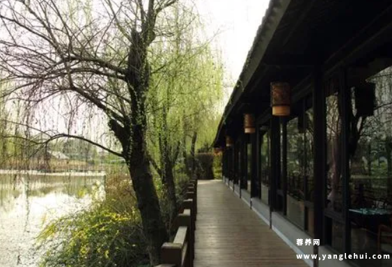成都锦欣花乡康养中心(石羊敬老苑) 成都锦欣花乡康养中心(石羊敬老苑)