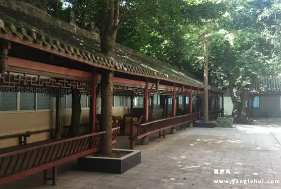 成都市武侯区长青树养老院 成都市武侯区长青树养老院