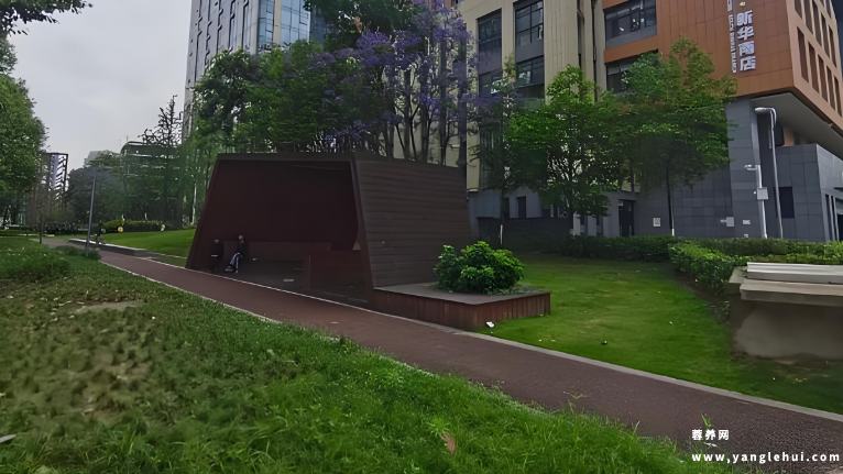 高新区中和街道社区养老服务综合体