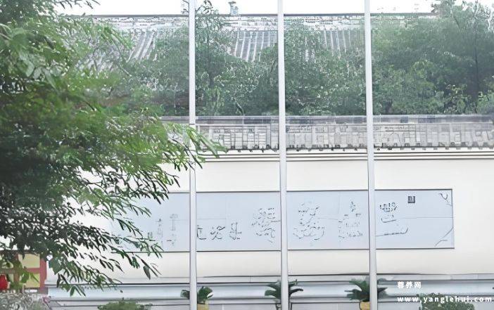成都市武侯区三生万寿养老院 成都市武侯区三生万寿养老院