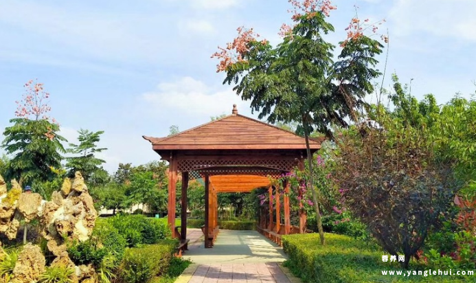 蓉东福寿养老院