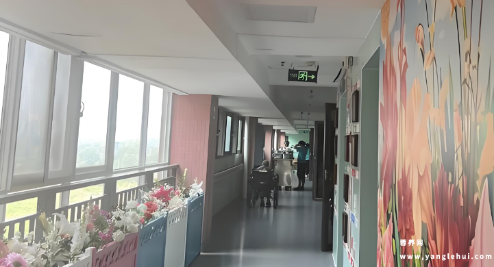 第一社会福利院 第一社会福利院