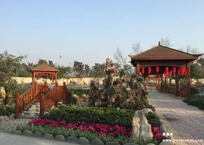 蓉东福寿养老院 蓉东福寿养老院