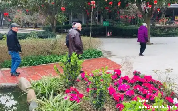 蓉东福寿养老院 蓉东福寿养老院