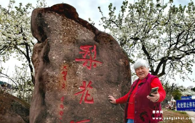 启阳养老院 启阳养老院
