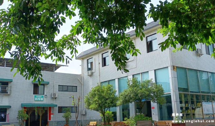 纯德养老中心 纯德养老中心