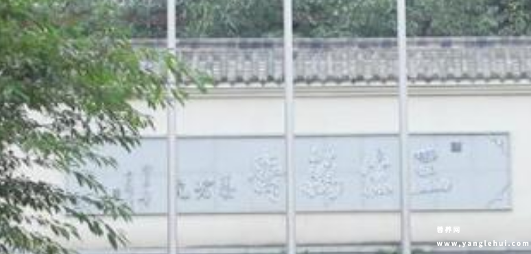 成都市武侯区三生万寿养老院 成都市武侯区三生万寿养老院