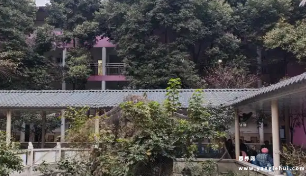 颐园养老院 颐园养老院