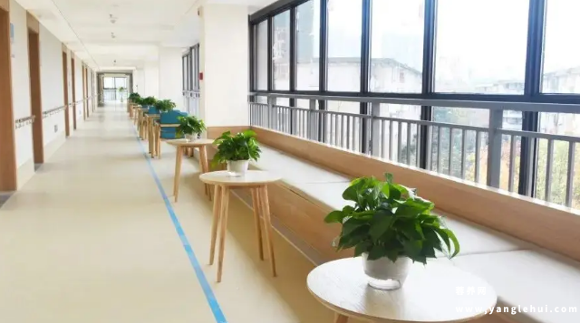成都市颐园养老院 成都市颐园养老院