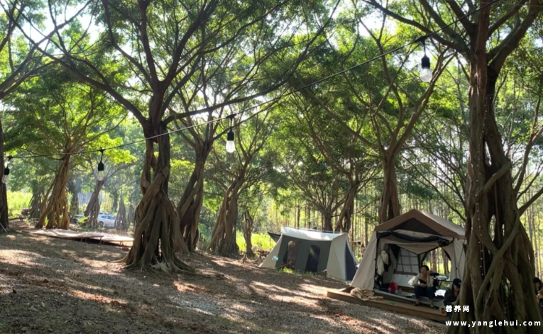 榕树林老年公寓 榕树林老年公寓